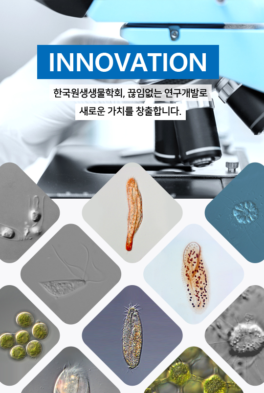 Innovation 한국원생생물학회, 끊임없는 연구개발로 새로운 가치를 창출합니다.